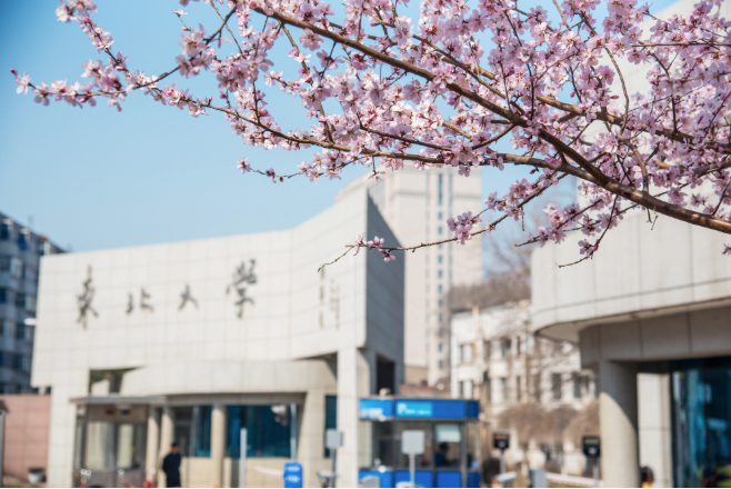 Northeastern University, Shenyang